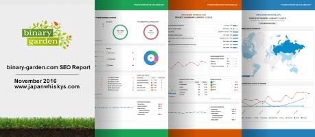 Besseres SEO Marketing durch Webseiten Analyse